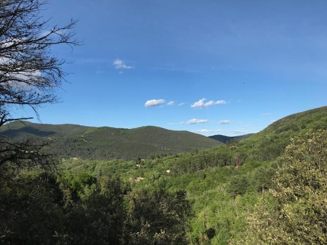 Suite Bambou Bien-Etre A Bali - Le Soleil Des Cevennes 圣让杜加尔 外观 照片