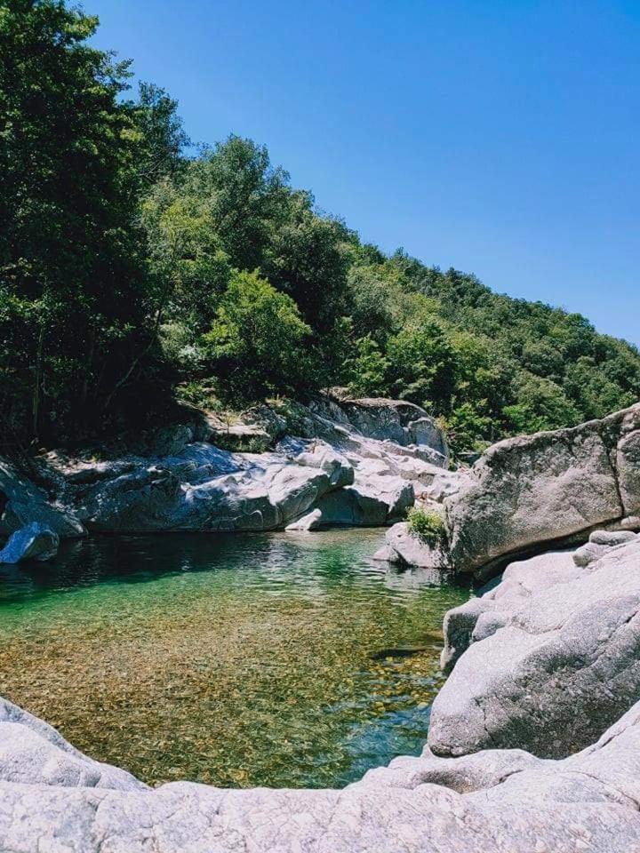 Suite Bambou Bien-Etre A Bali - Le Soleil Des Cevennes 圣让杜加尔 外观 照片
