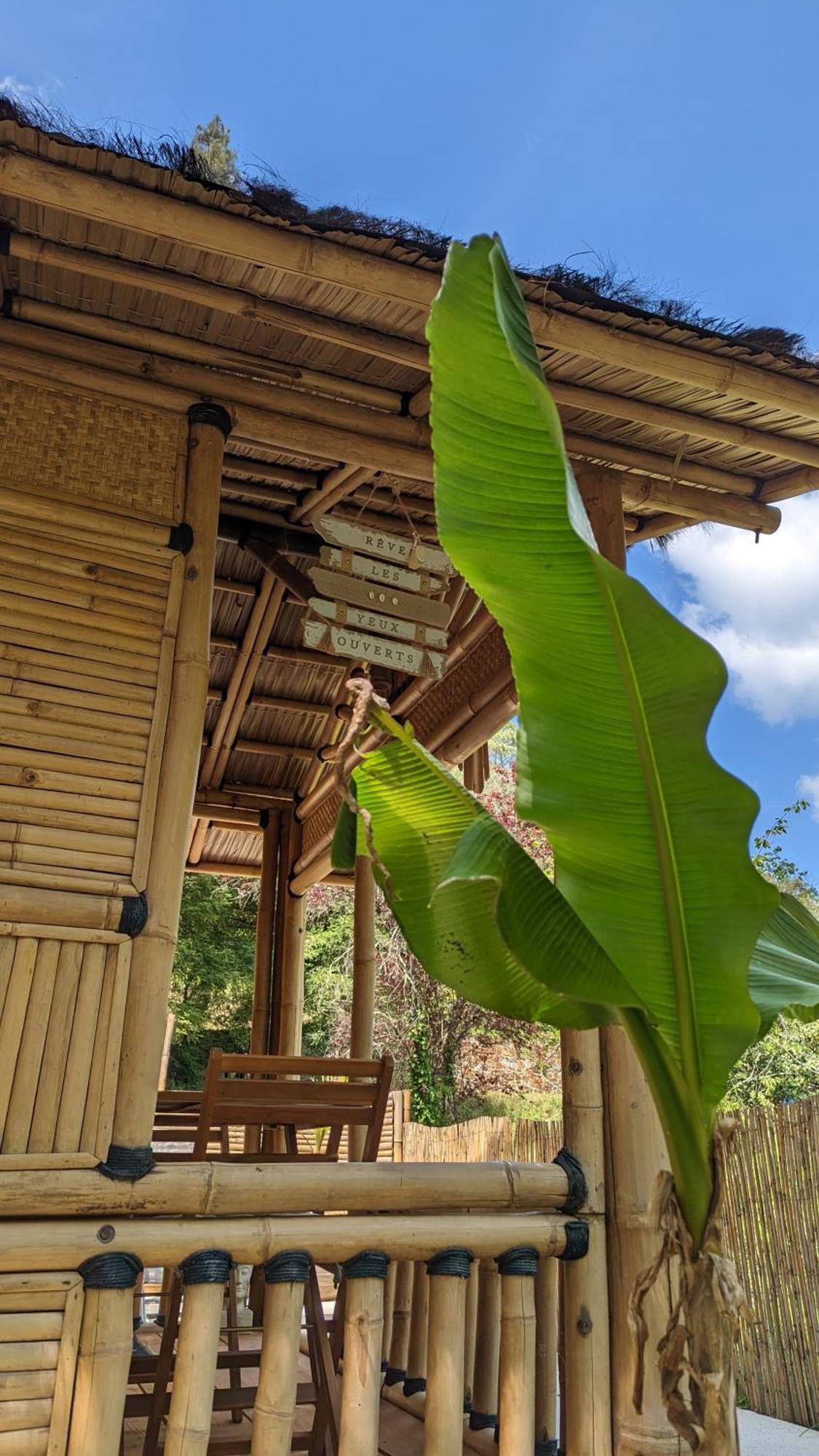 Suite Bambou Bien-Etre A Bali - Le Soleil Des Cevennes 圣让杜加尔 外观 照片