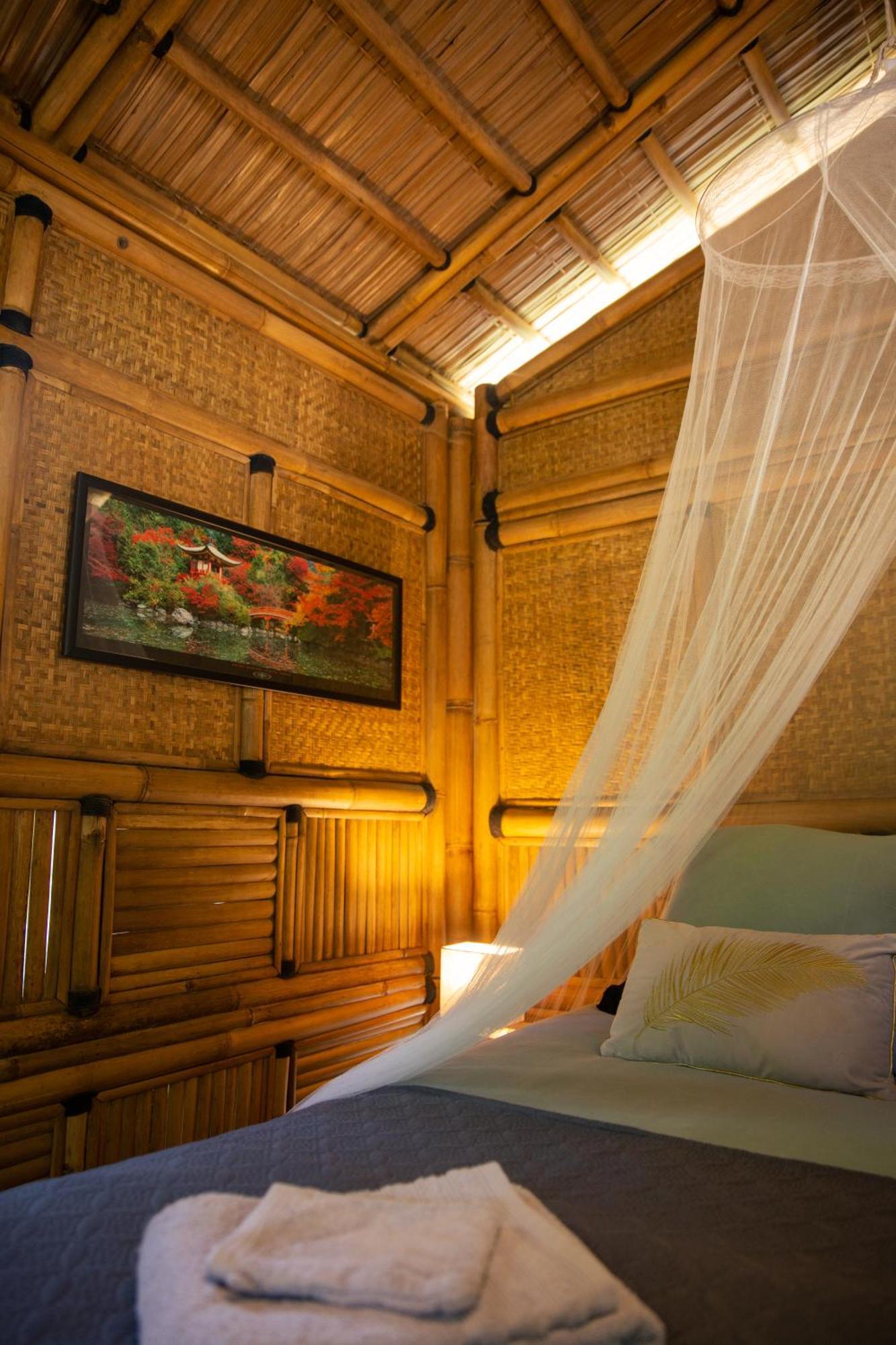 Suite Bambou Bien-Etre A Bali - Le Soleil Des Cevennes 圣让杜加尔 外观 照片